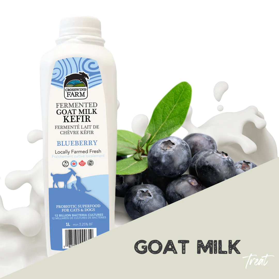 CROSSWIND FARMS KEFIR WITH BLUEBERRIES - GOAT MILK 1 Crosswind farms kefir with blueberries - goat milk