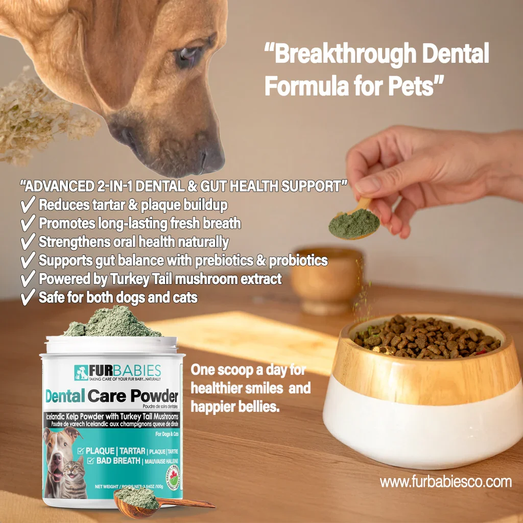 FurBabies Pet Dental Care Powder 6 Furbabies pet dental care powder - image 6