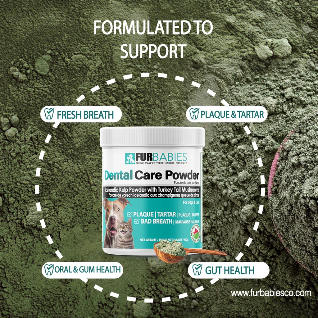 FurBabies Pet Dental Care Powder 4 Furbabies pet dental care powder - image 4