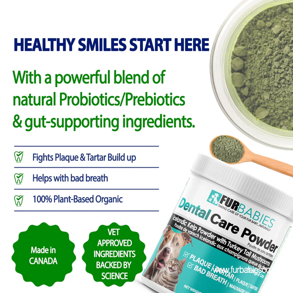 FurBabies Pet Dental Care Powder 3 Furbabies pet dental care powder - image 3