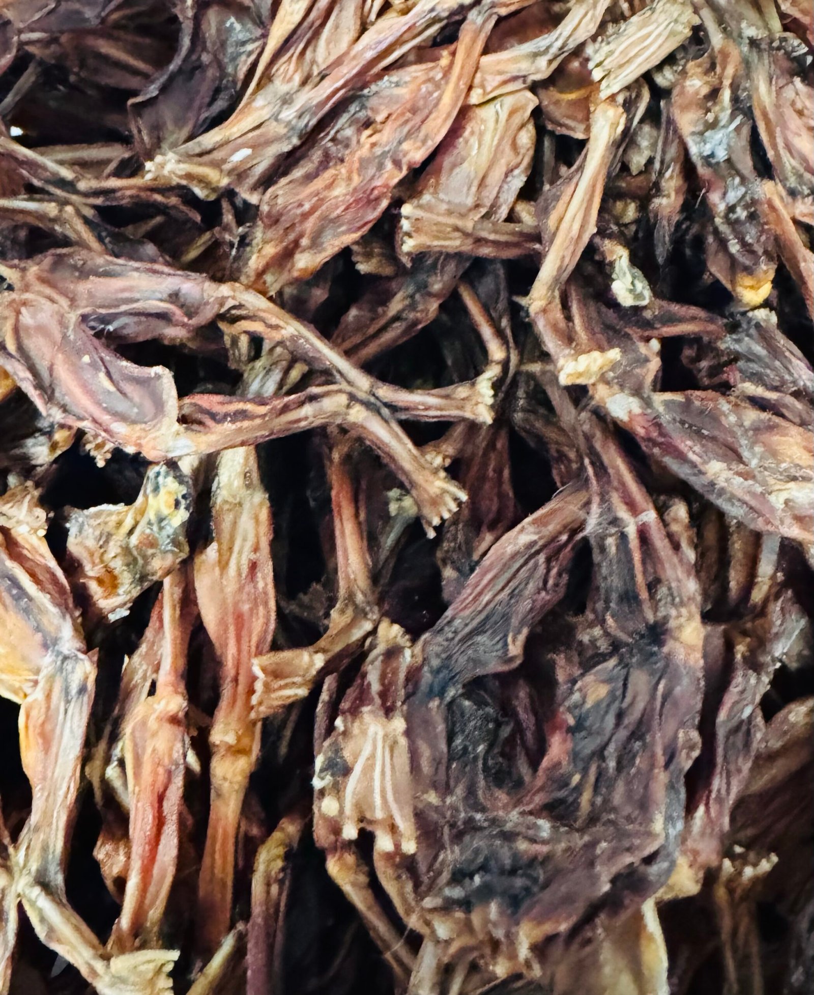 Dehydrated Frog Legs 1 Dehydrated frog legs