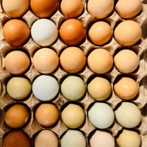 Frozen Chicken Eggs 6 Pack