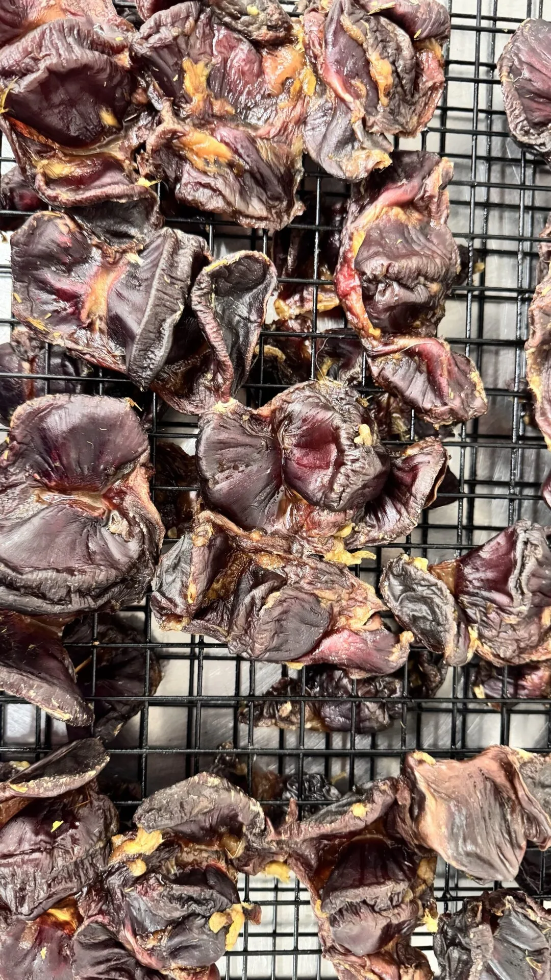 Dehydrated Turkey Gizzards 2 Dehydrated turkey gizzards - image 2