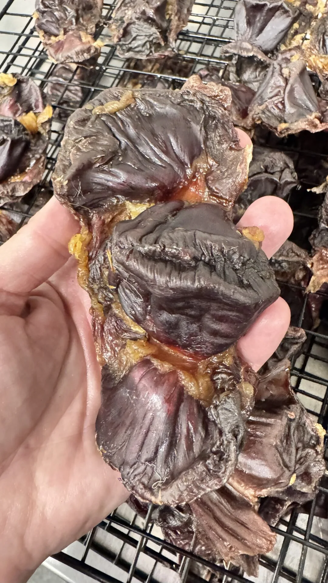 Dehydrated Turkey Gizzards 1 Dehydrated turkey gizzards