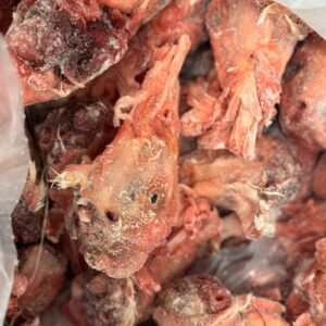 Raw Duck Head