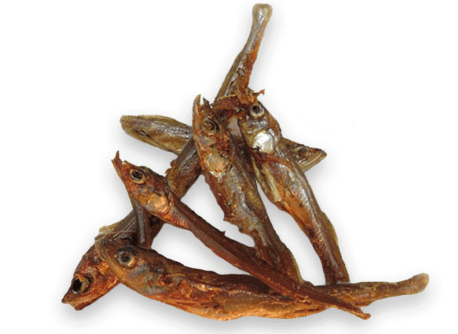 DH Lake Smelts 1 Dh lake smelts